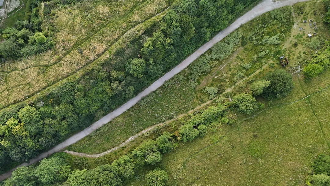 Vue aérienne d’un chemin sinueux traversant un espace boisé — photo Frederik Wordenskjold, Unsplash