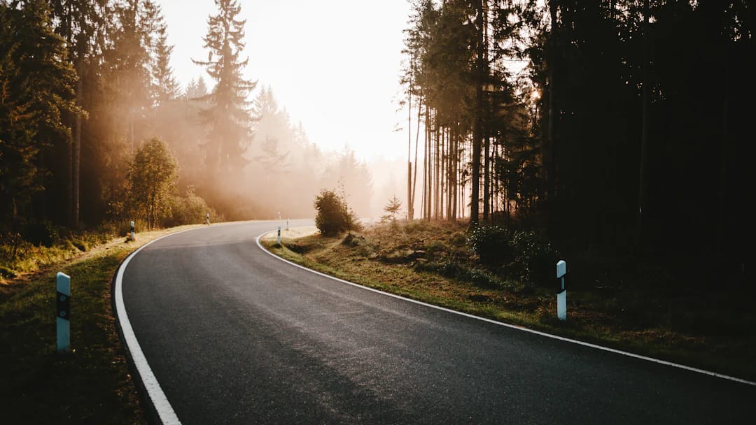 Voie traversant un environnement arboré — photo Julian Hochgesang, Unsplash