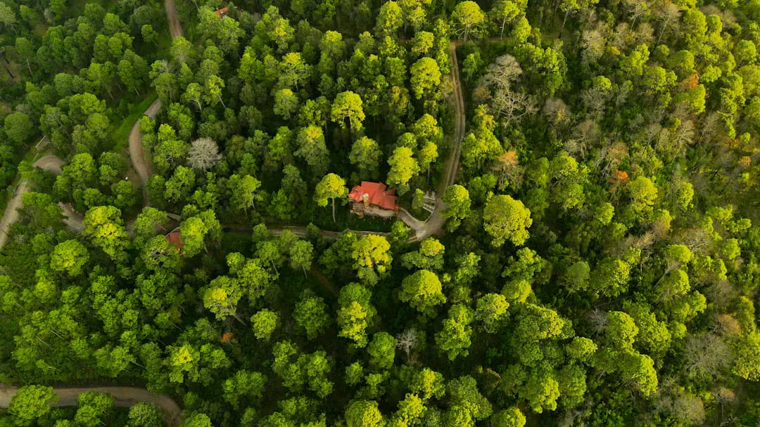 Vue aérienne d’une maison située au cœur d’une parcelle boisée