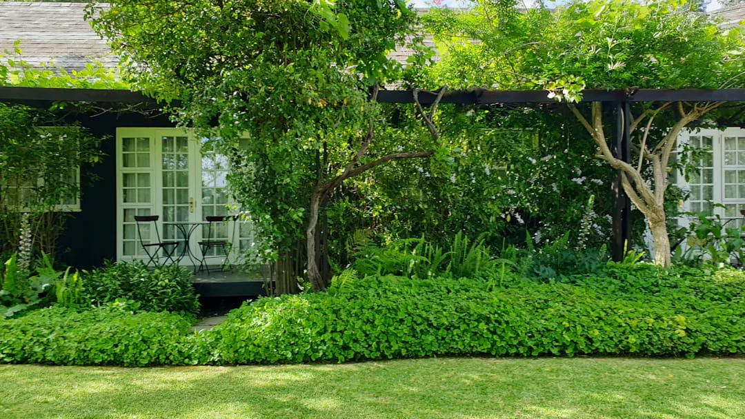 Maison entourée de végétation et jardin