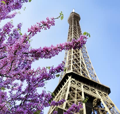 L’évolution du logement et de l’habitat à Paris permet à chacun d’avoir une vision de la dynamique urbaine de la capitale.